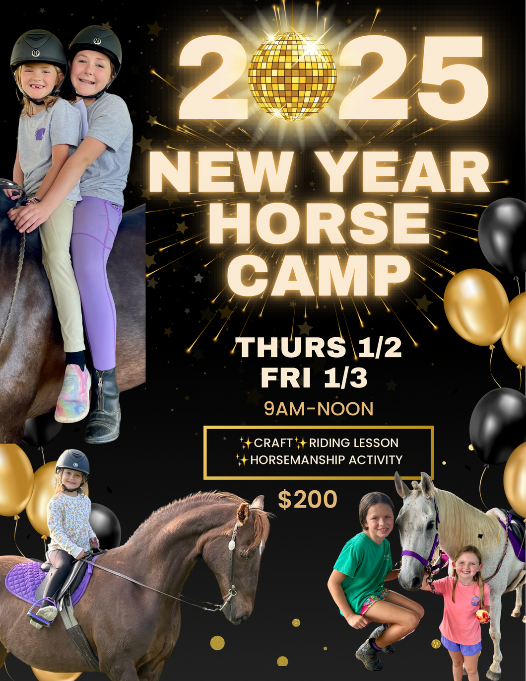 New Year Horse Camp!