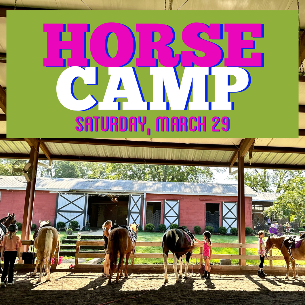 Super FUN Horse Camp