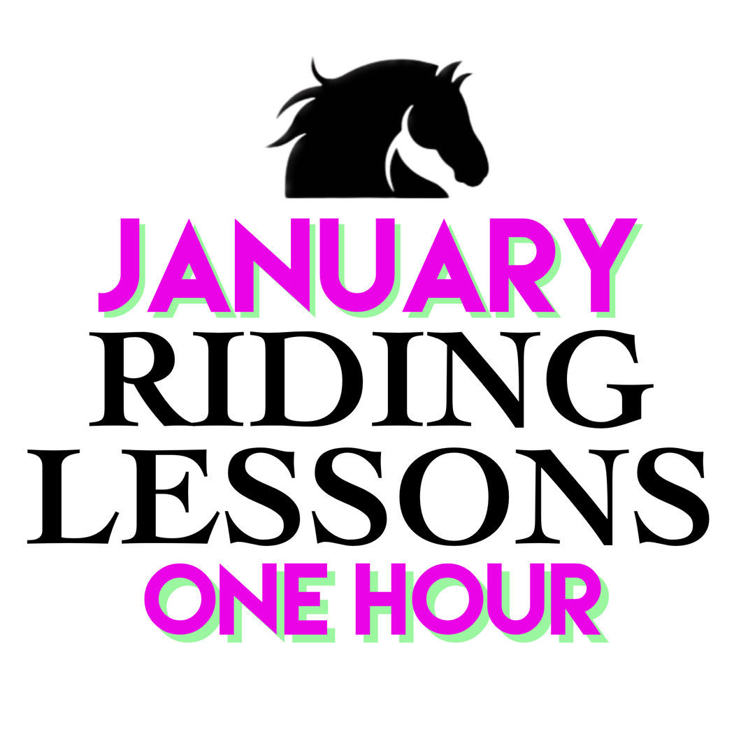 JANUARY One Hour Lesson Package