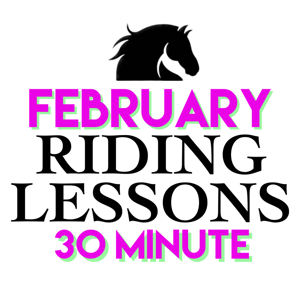 FEBRUARY 30MIN Lesson Packages