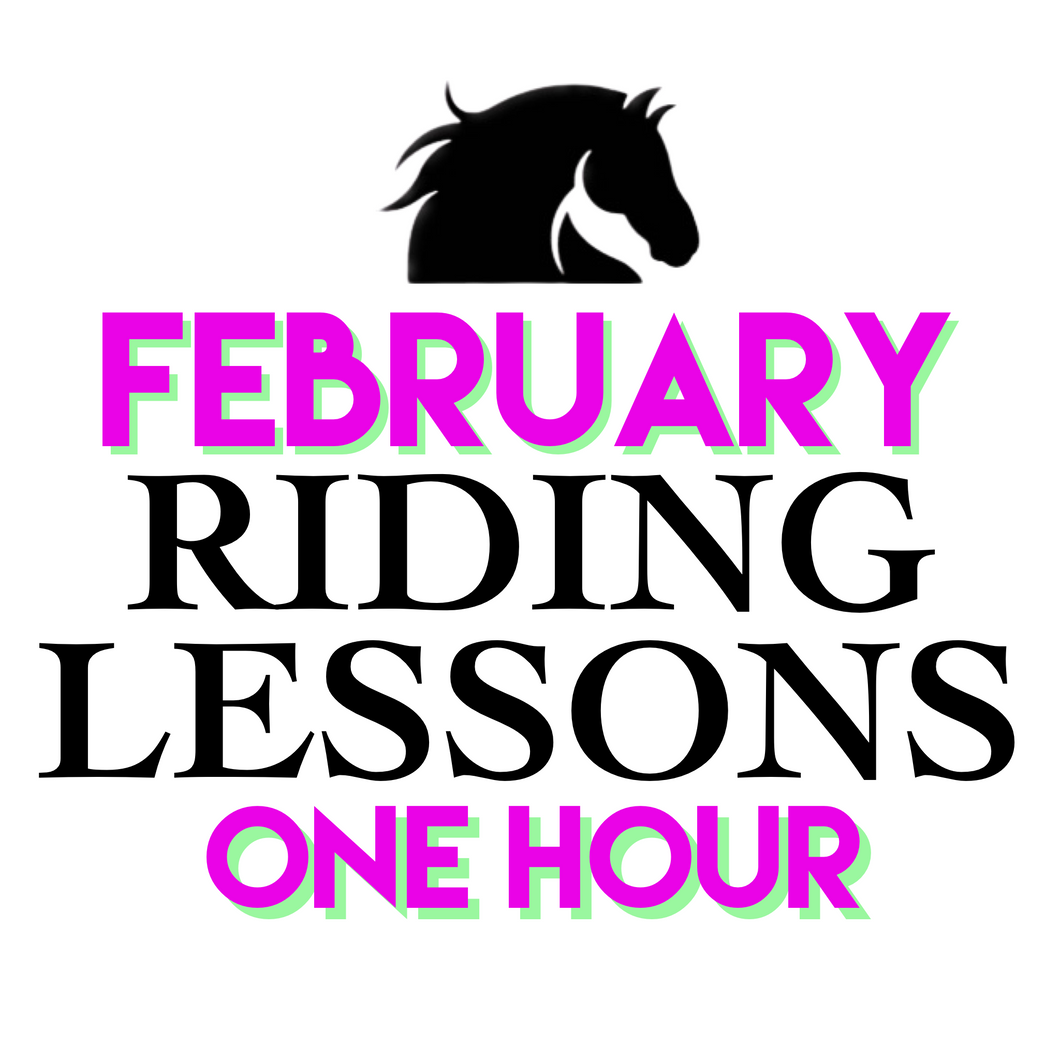 February ONE HOUR Lesson Package