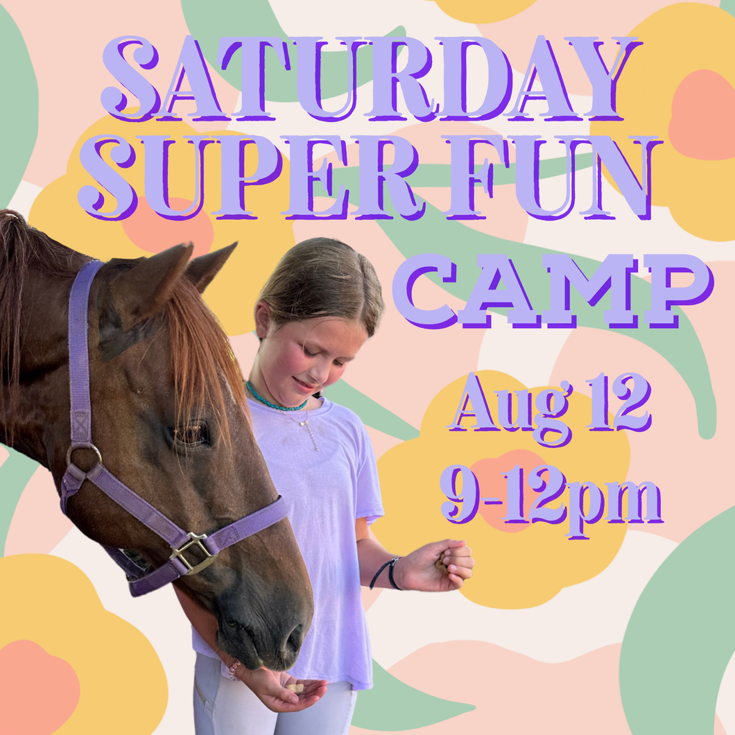 Saturday SUPER FUN Camp 8/12